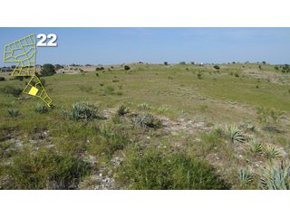 Property photo 114 - Mickle's Valley View Ranch and Canyon West Golf Club 506+/- Acres Offered in 27 Tracts in Weatherford, TX